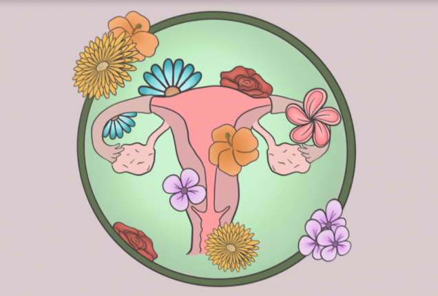 Picture of a uterus, fallopian tubes and ovaries with flowers around it